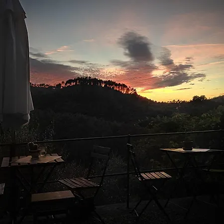 Altravista